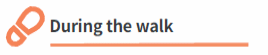 informationForWalkers html during