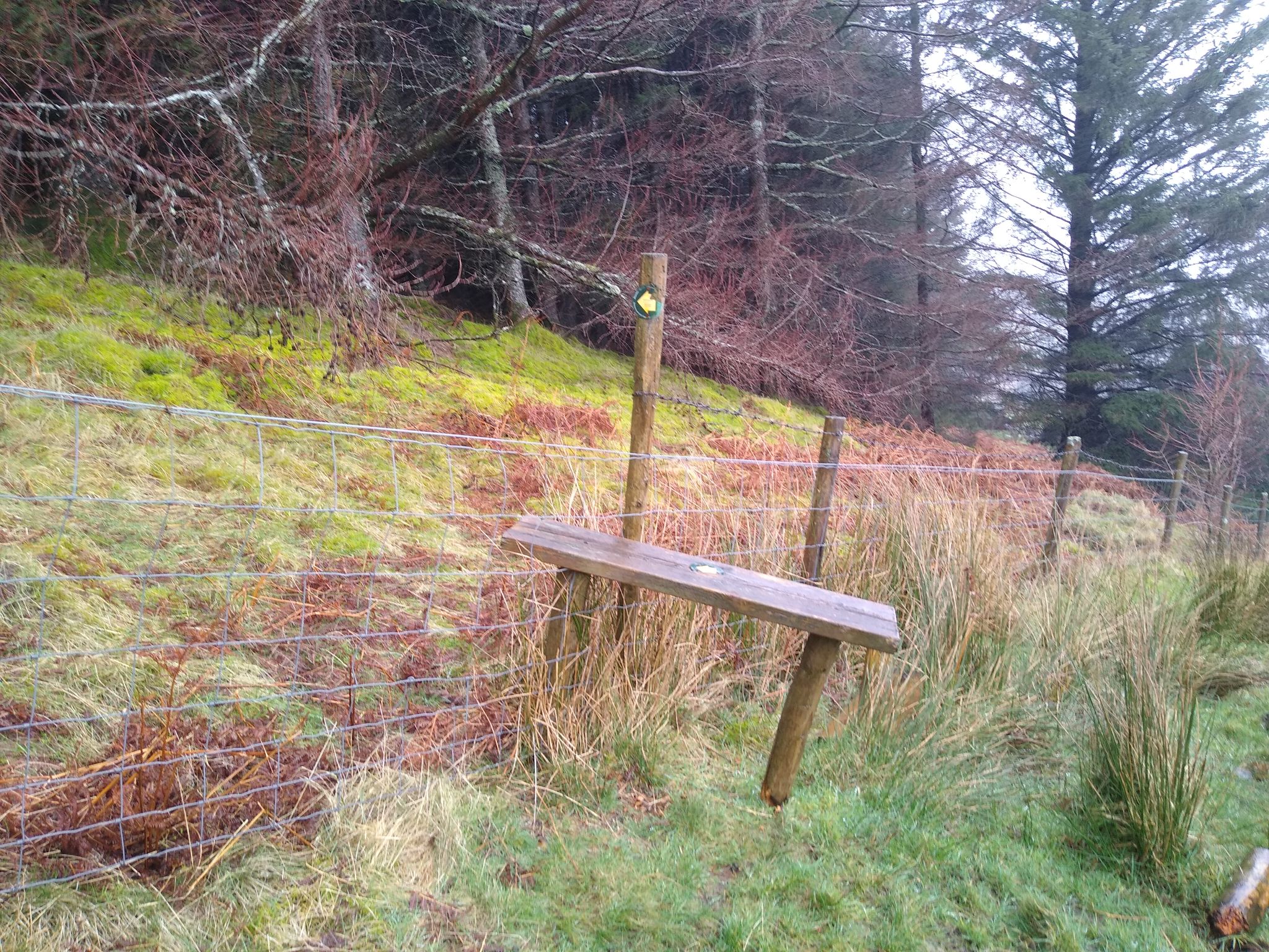 old stile